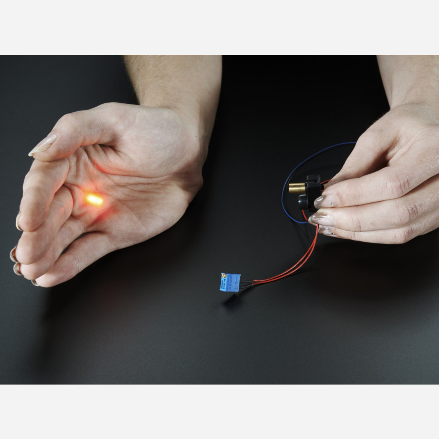 Laser Break Beam Sensor Australia Little Bird
