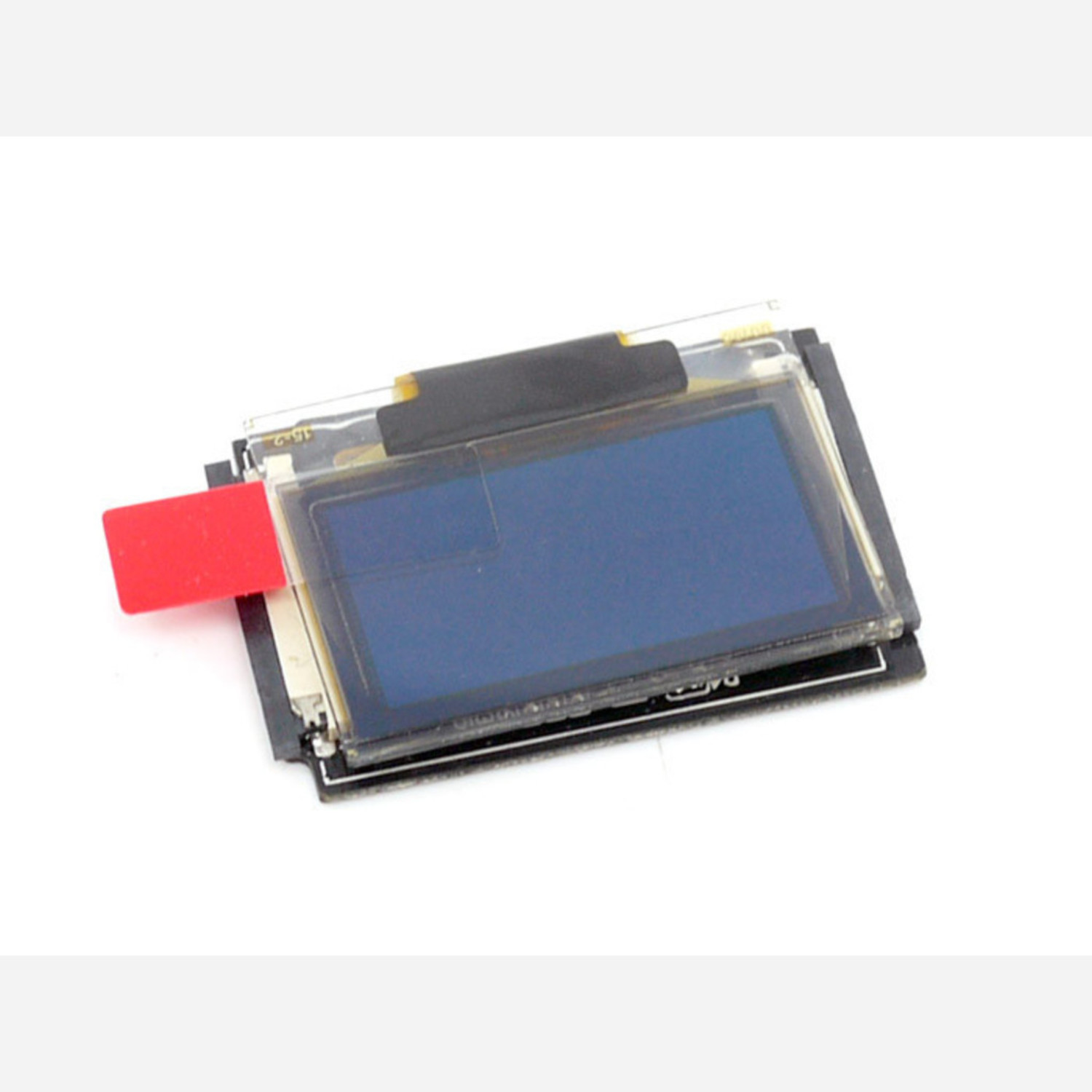 OLED Frame 128x64 Australia Little Bird