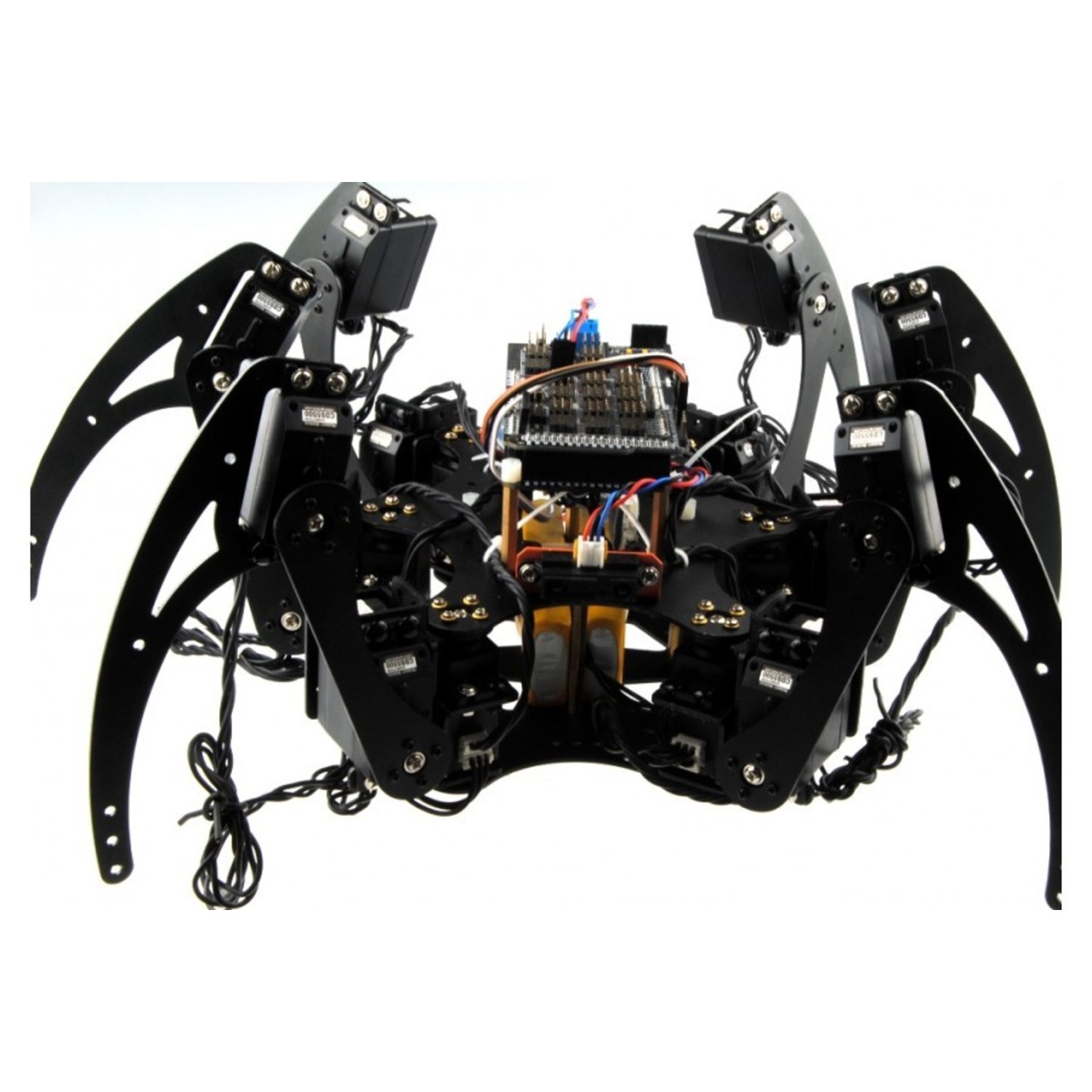 Hexapod Robot Kit Australia Little Bird
