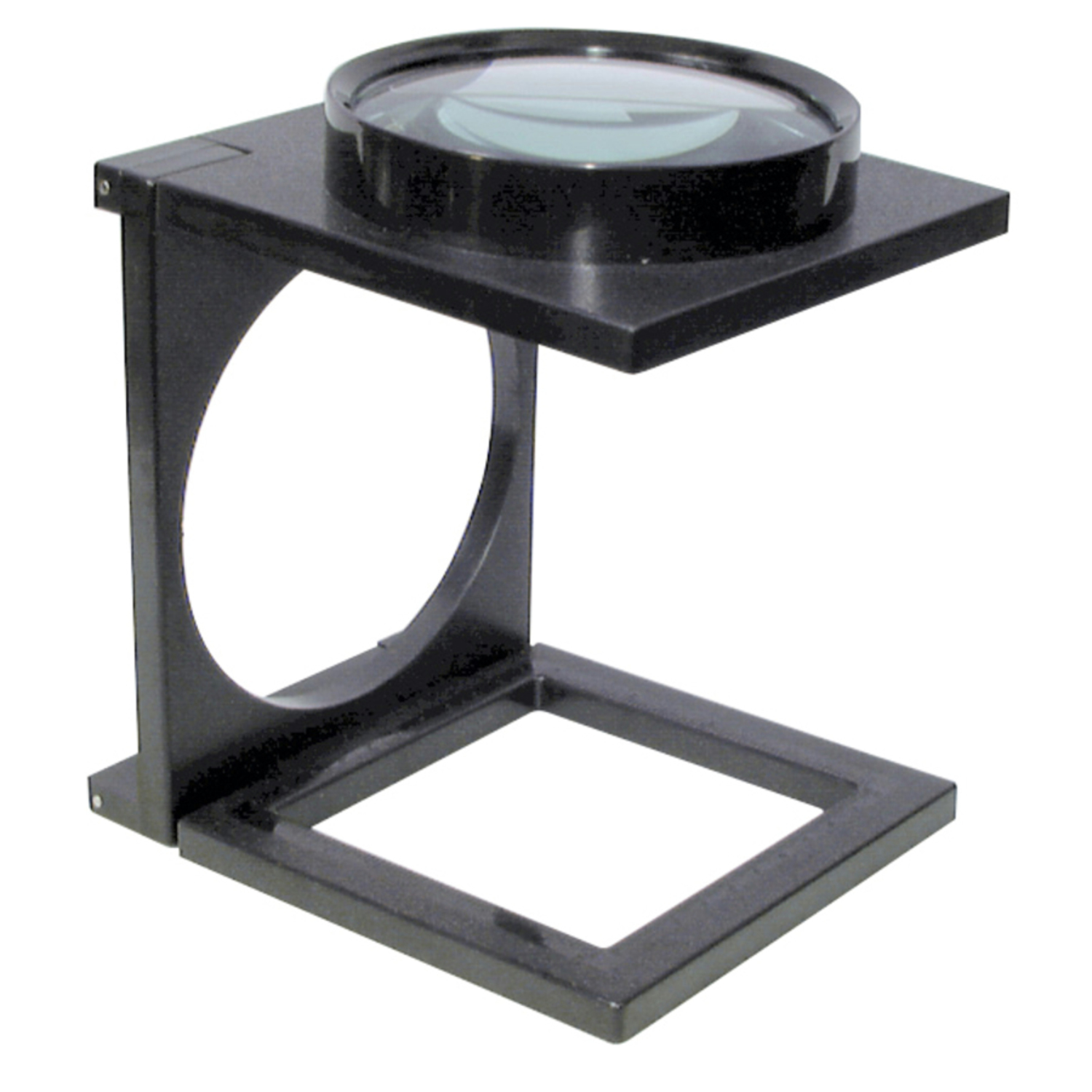 Magnifying Glass Australia Little Bird